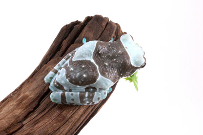 CB Amazon Milk Frog