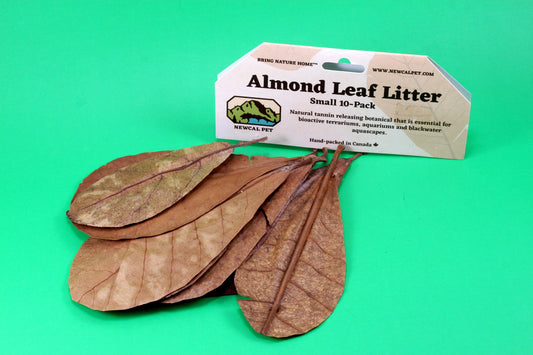 Indian Almond Leaves - 10pk