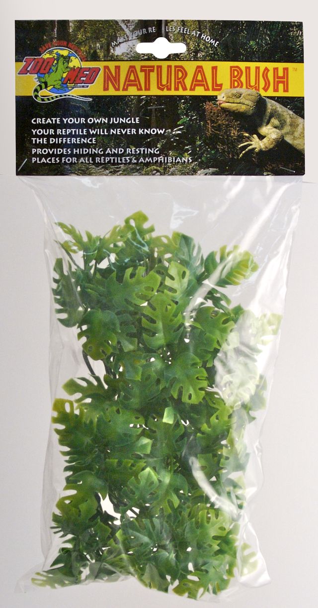 ZM Amazonian Phyllo