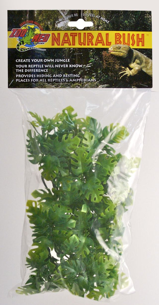 ZM Amazonian Phyllo