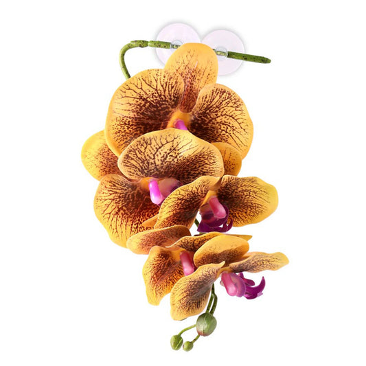Pangea Hanging Orchid - Yellow