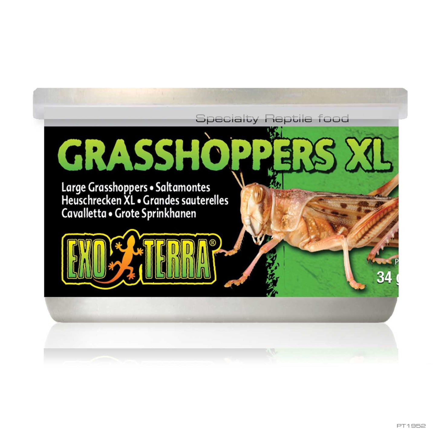 Exo Terra Canned Grasshoppers XL