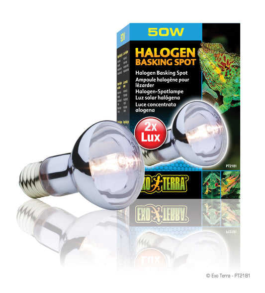 Exo Terra Halogen Basking