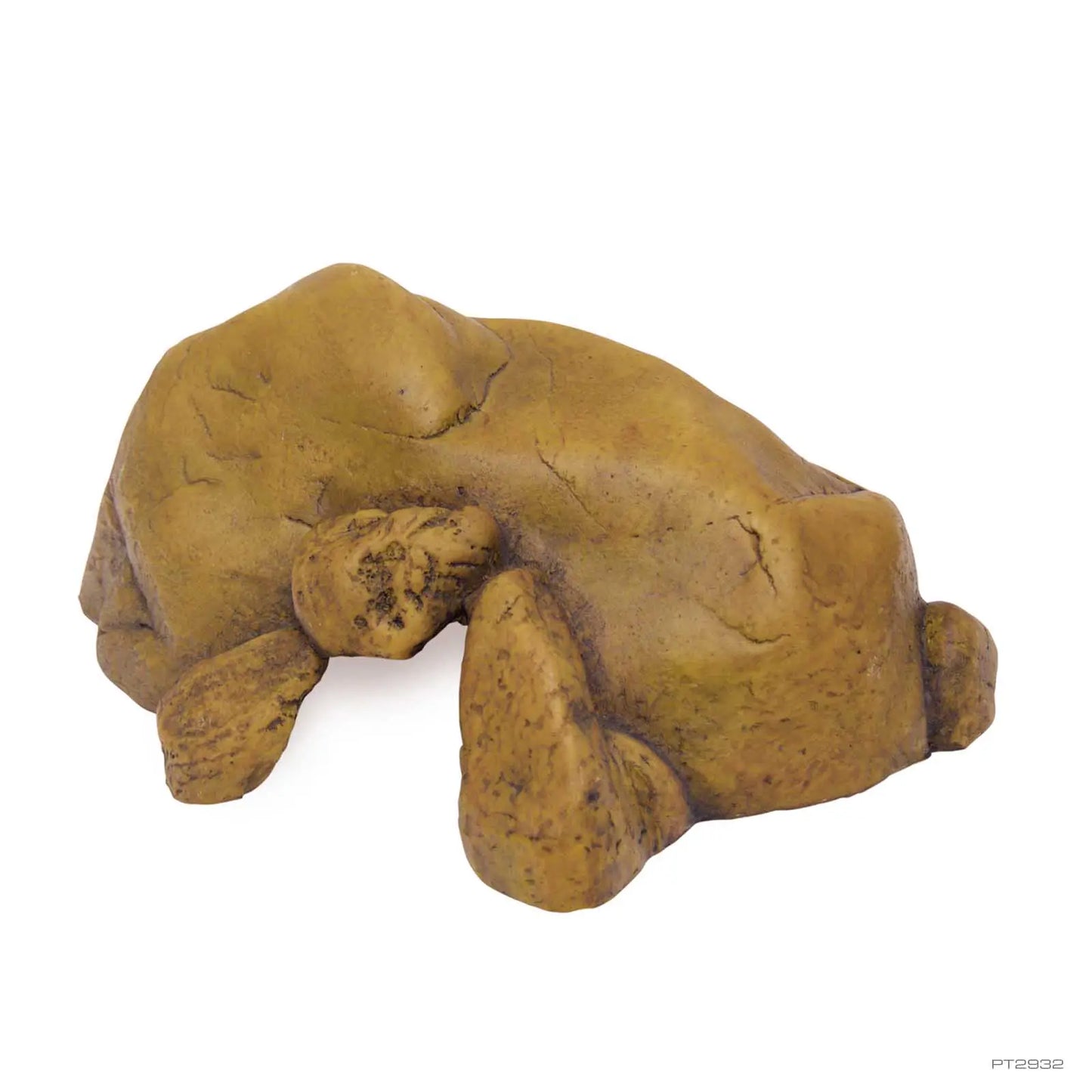 Exo Terra Hiding Cave