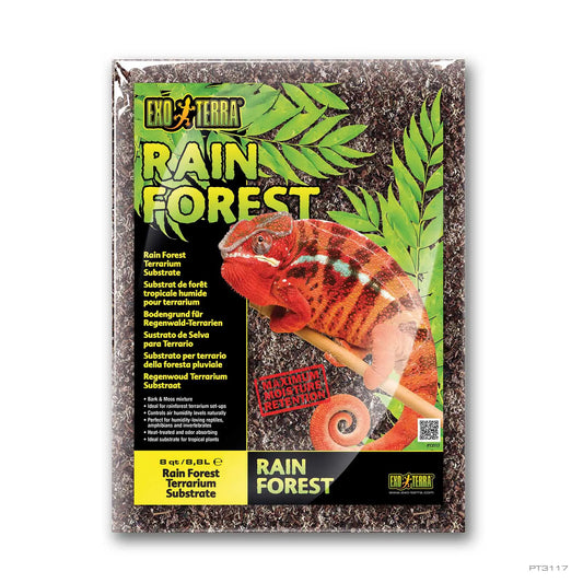 Rain Forest