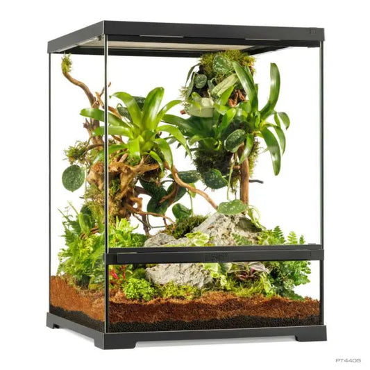 Pro Terrarium Advanced Natural Terrarium