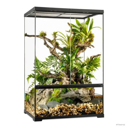 Pro Paludariums