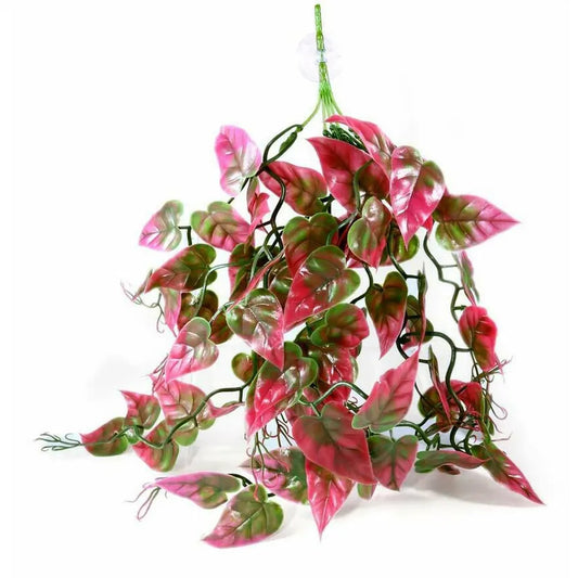 Pangea Red Plant