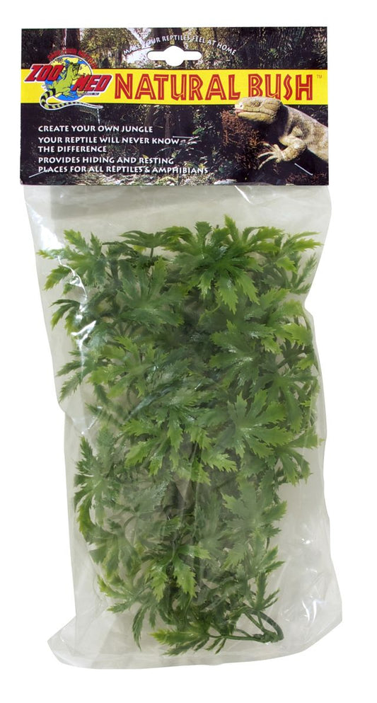 ZM Cannabis