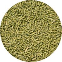 ZM Iguana Food - Adult Formula