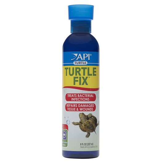 api-turtle-fix-8