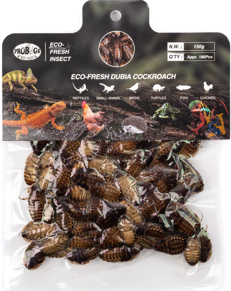 ProBugs Dubia Exo Terra