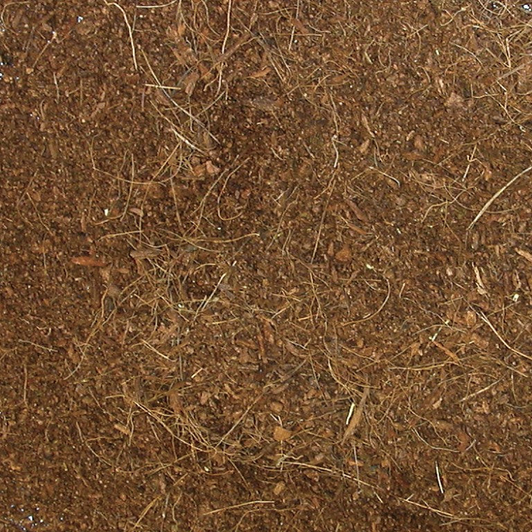ee-10-eco-earth-sample