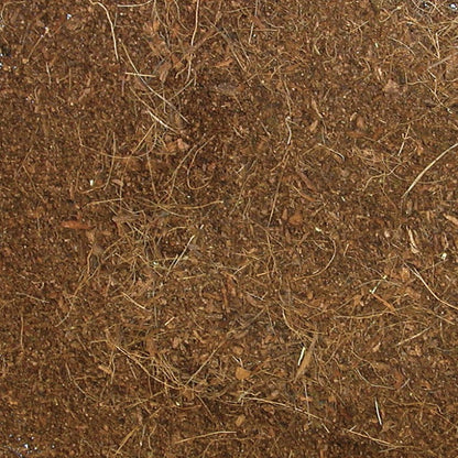 ee-10-eco-earth-sample