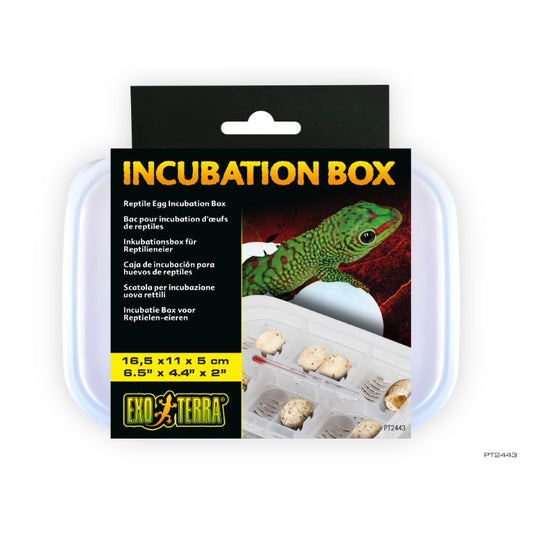 exoterra-pt2443-incubationreptileeggbox-3f-international