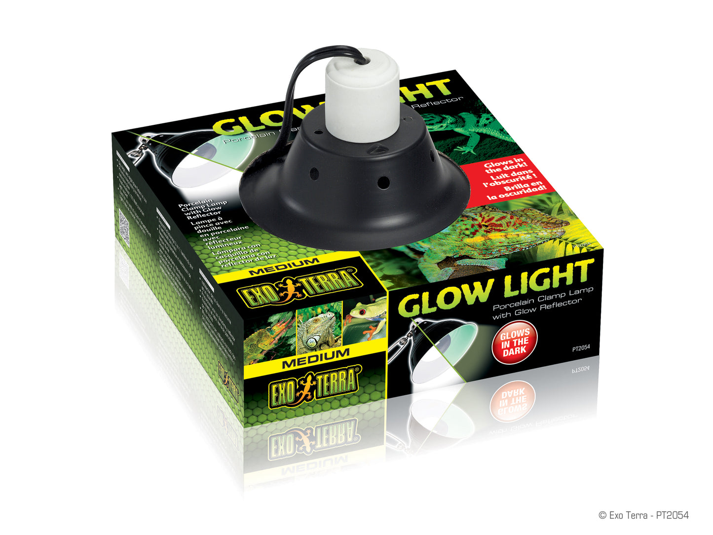 glow-light-medium_pt20504