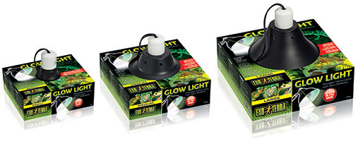 glow-light-packages-new