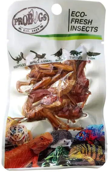 ProBugs Grasshopper Pro Bugs