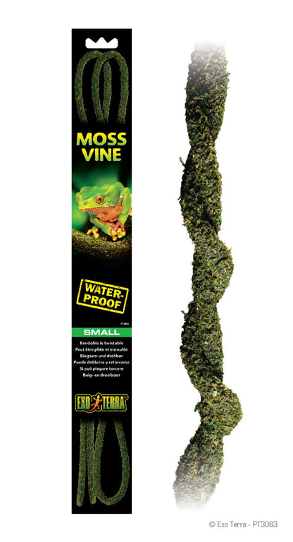 hr_moss-vine_pt3083_rgb_1