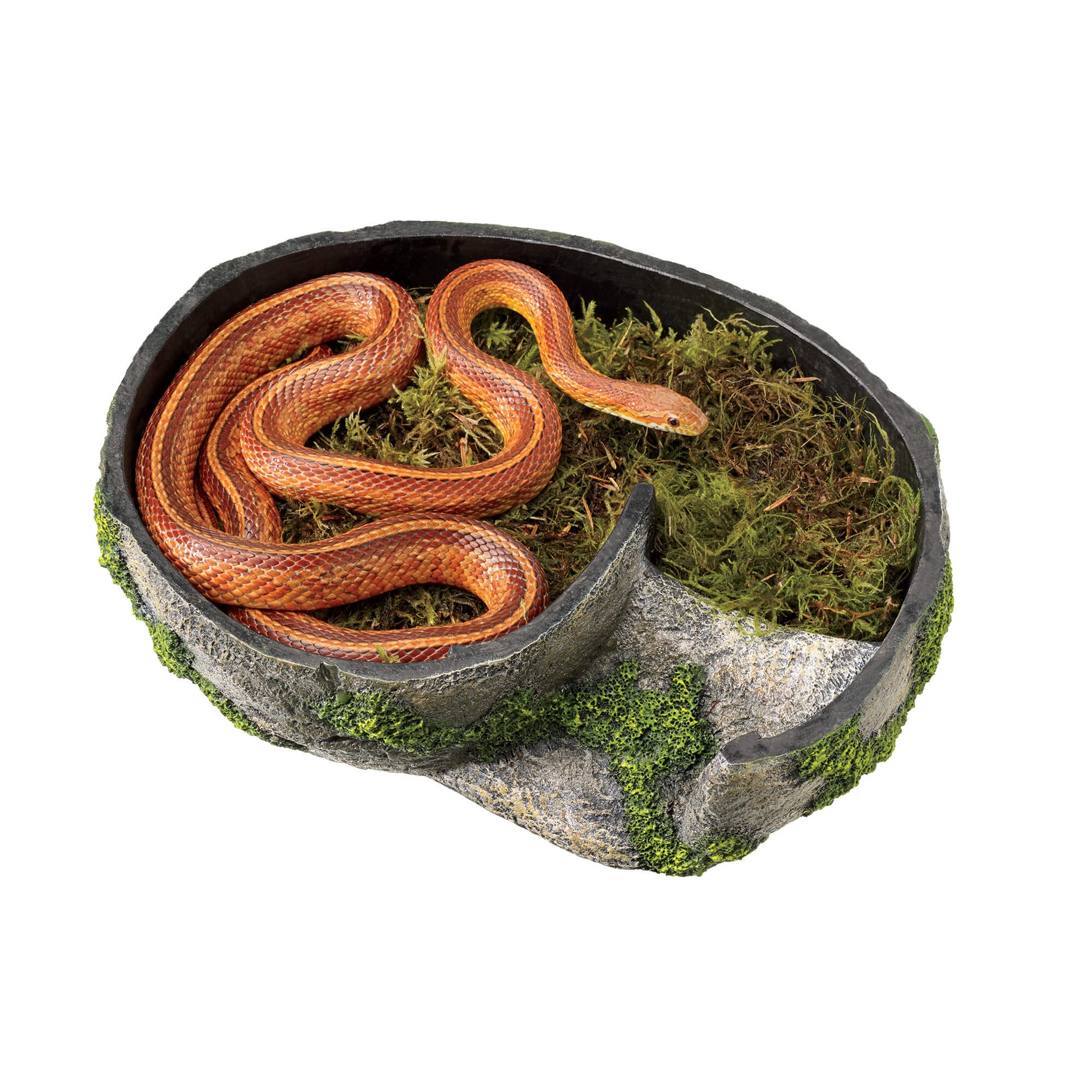 lair-with-animal-large_jpg