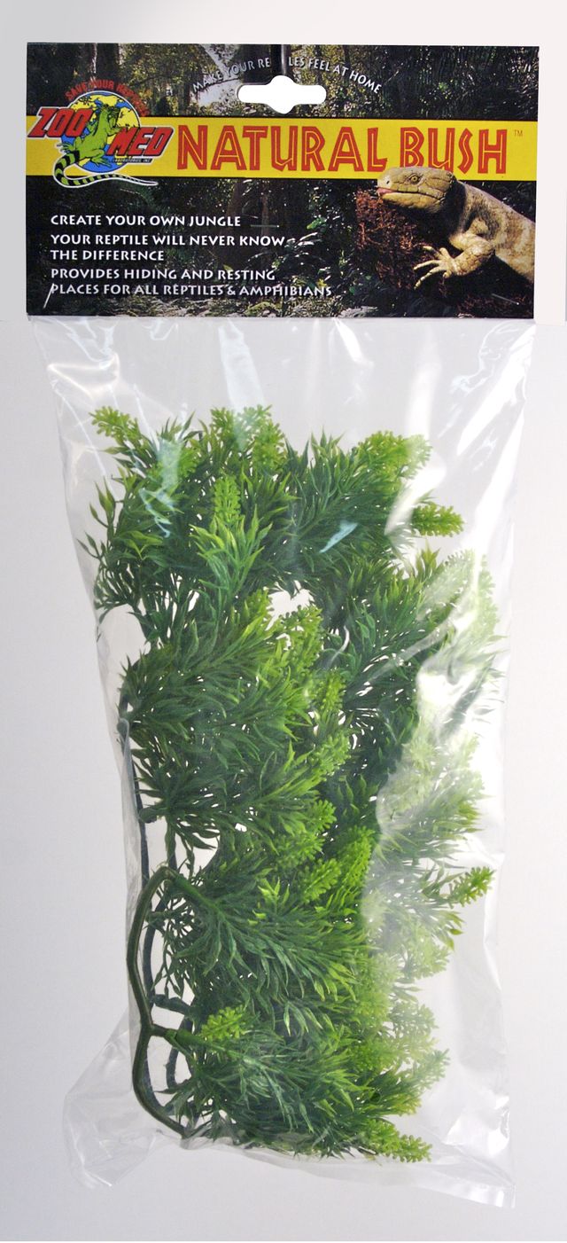 ZM Malaysian Fern Zoo Med