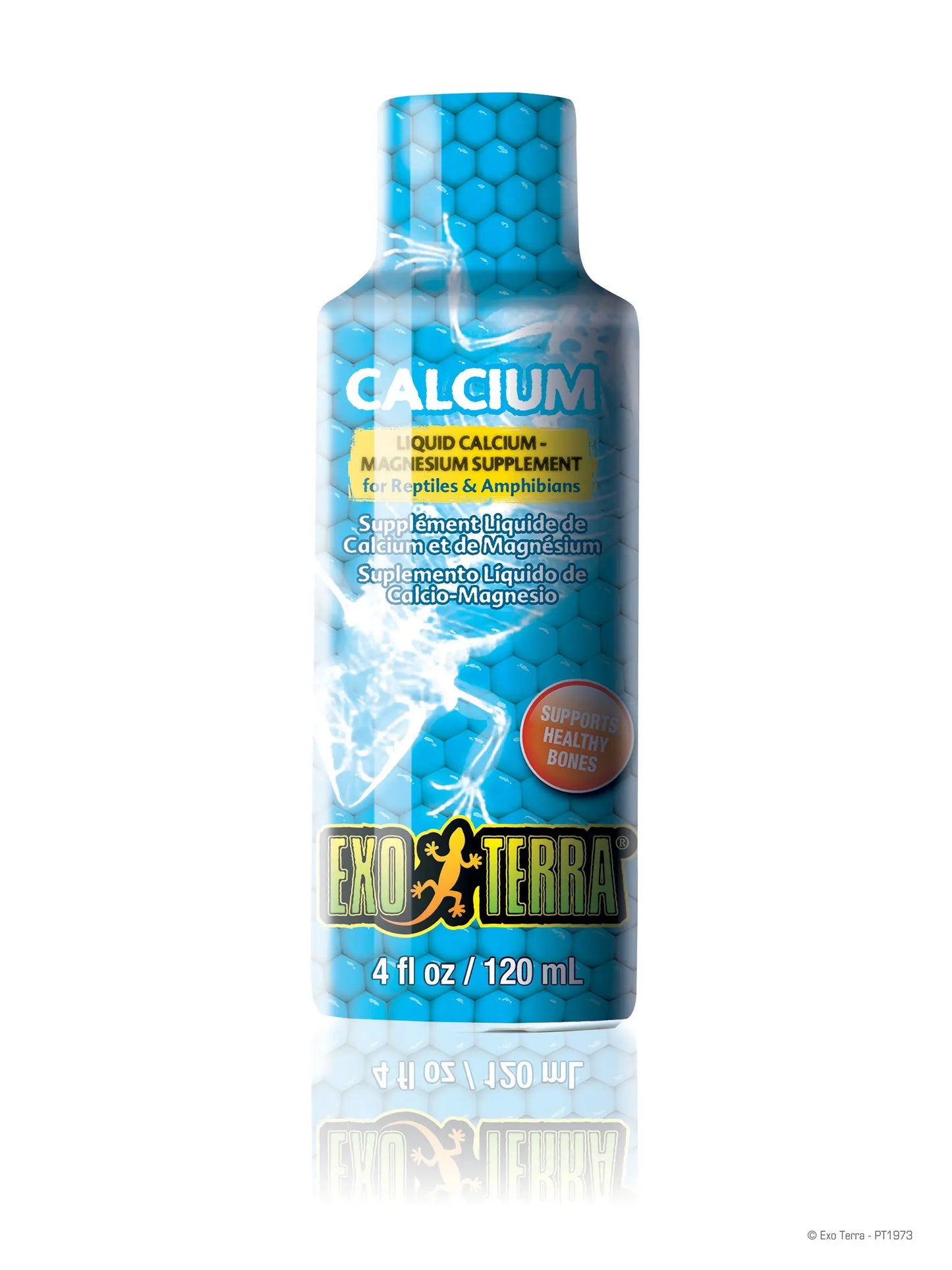 mock-up_calcium_pt1973