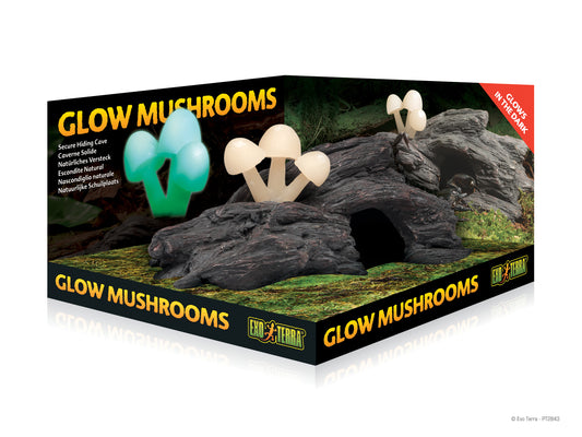 mock-up_glow-mushrooms_pt2843
