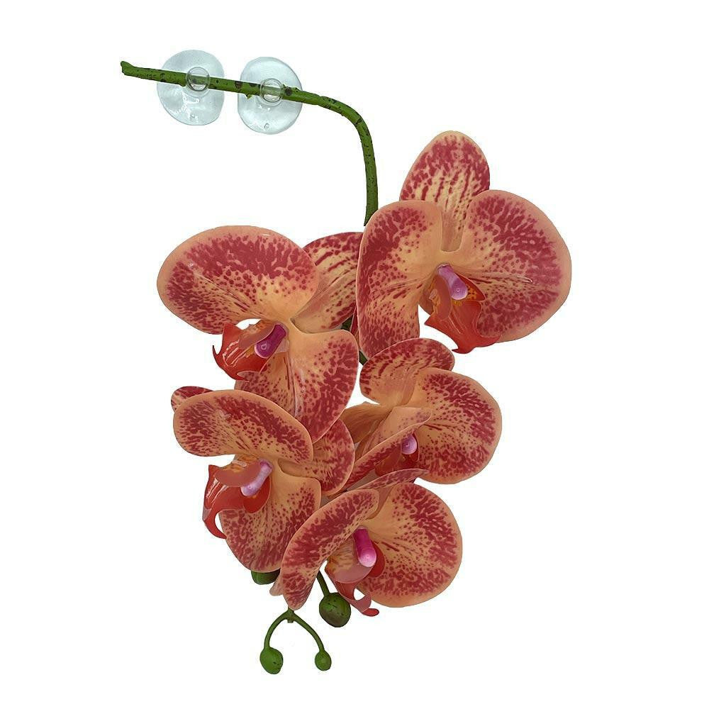 Pangea Hanging Orchids - Orange & Yellow