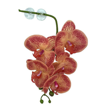 Pangea Hanging Orchids - Orange & Yellow