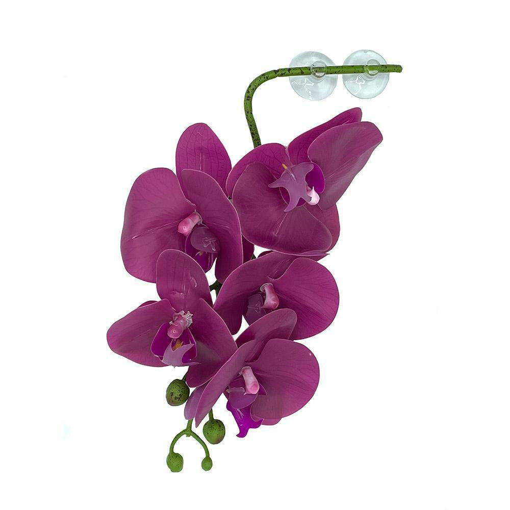 Pangea Hanging Orchids - Purple