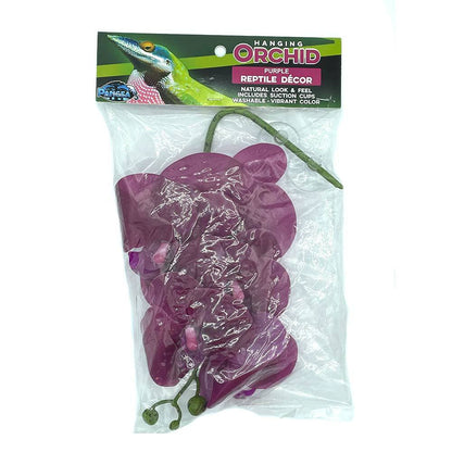Pangea Hanging Orchids - Purple