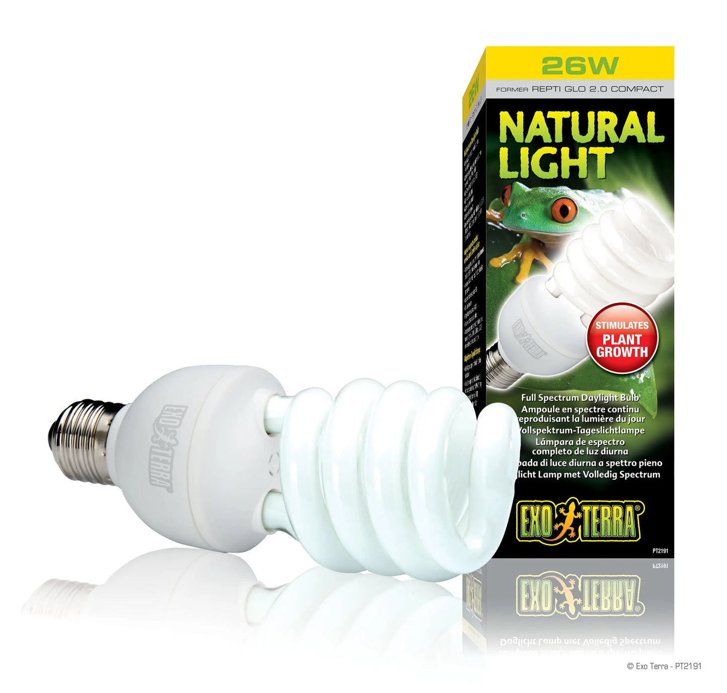 pt2191_natural_light_set