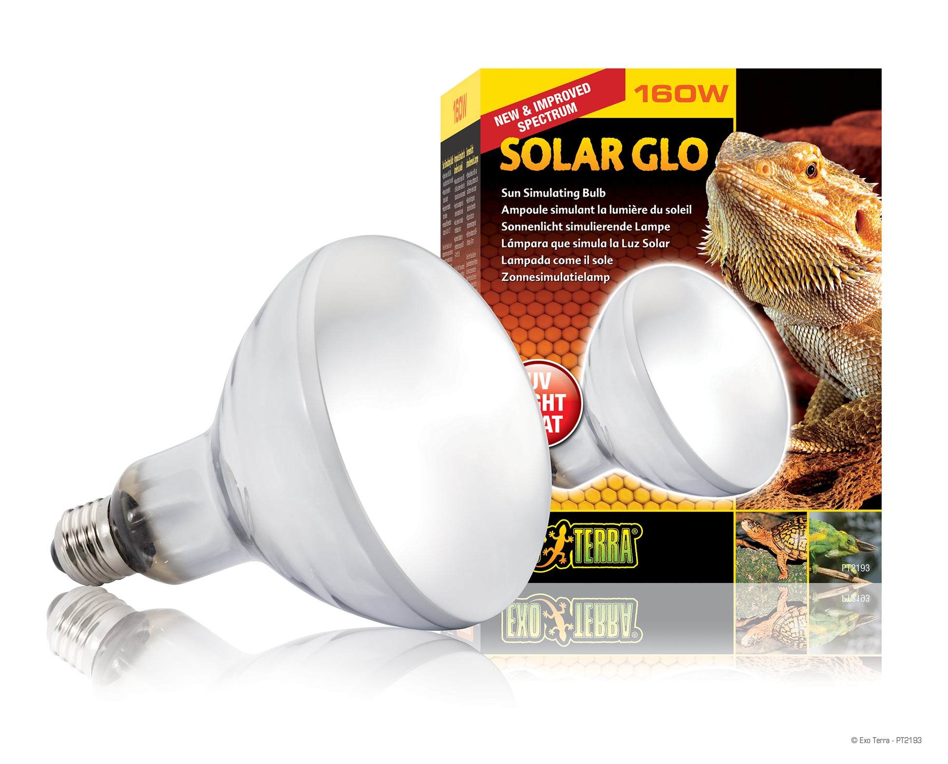 pt2193_solar_glo_set_1