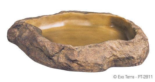 pt2811_feeding_dish