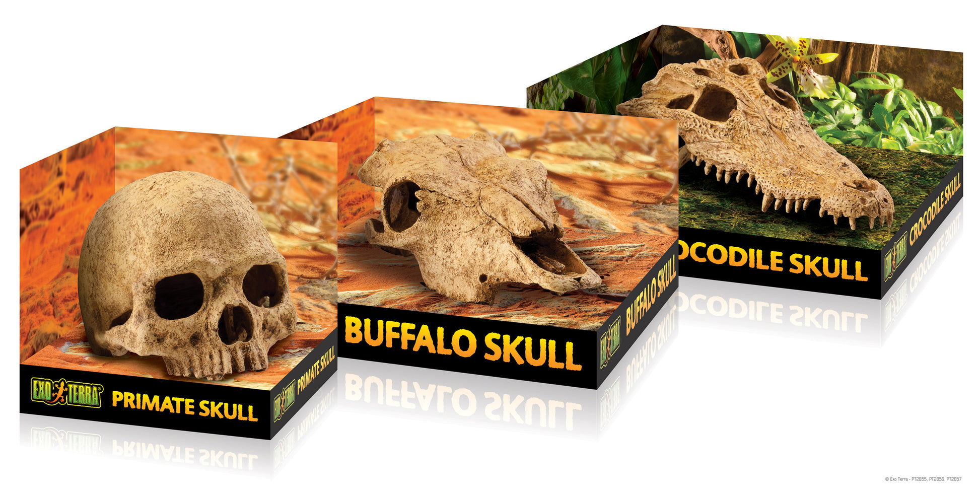 pt2855_2856_2857_skulls_packaging_set