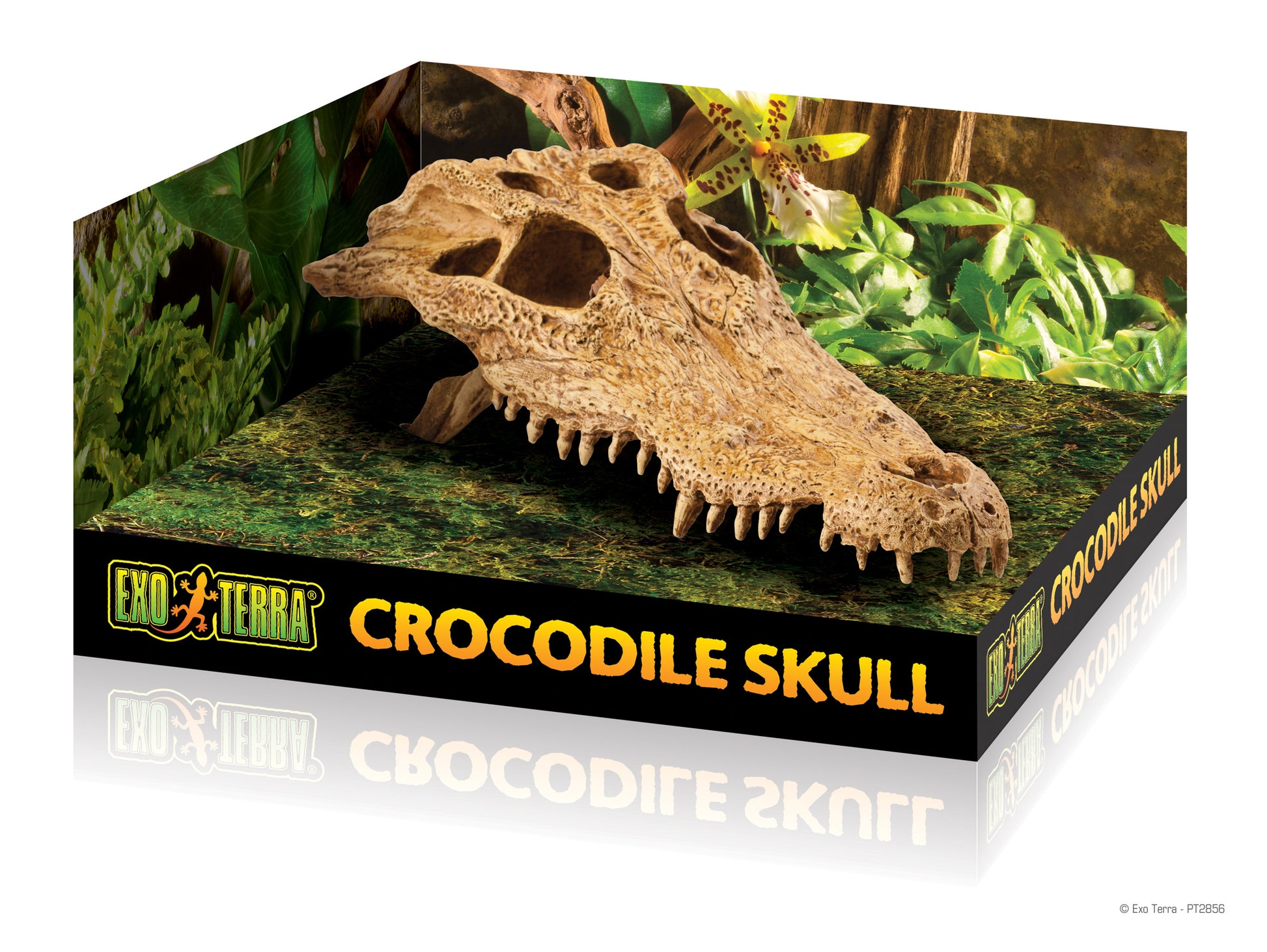 pt2856_crocodile_skull_packaging