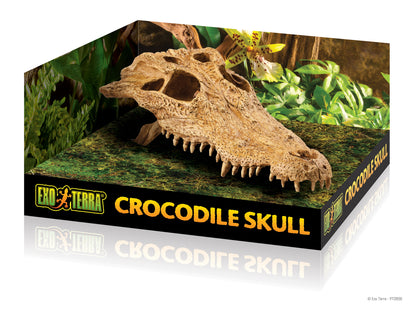 pt2856_crocodile_skull_packaging