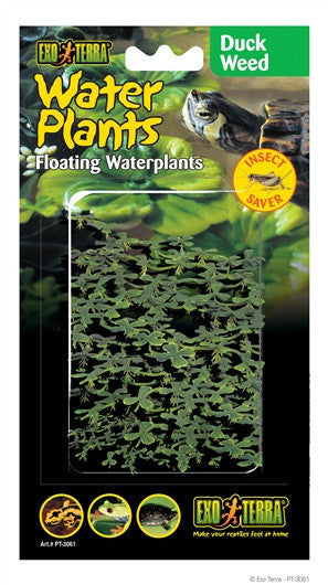 pt3061_duck_weed_packaging_grande