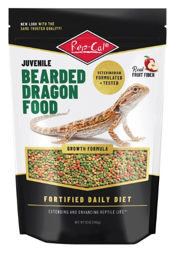 Rep Cal Juv Bearded Dragon