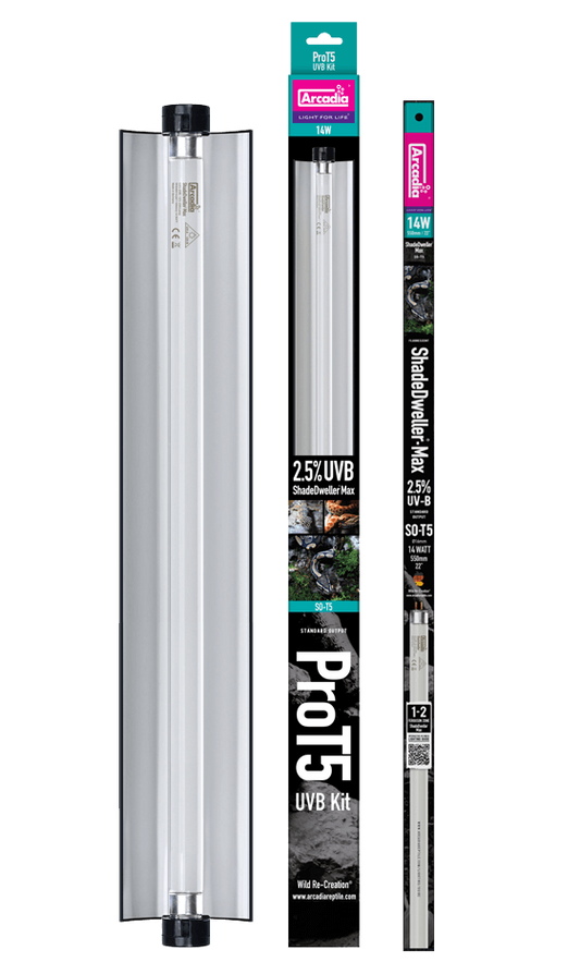 Arcadia ShadeDweller-Max T5 UVB Lighting Kit - 2.5% UVB
