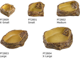 water_dish_set