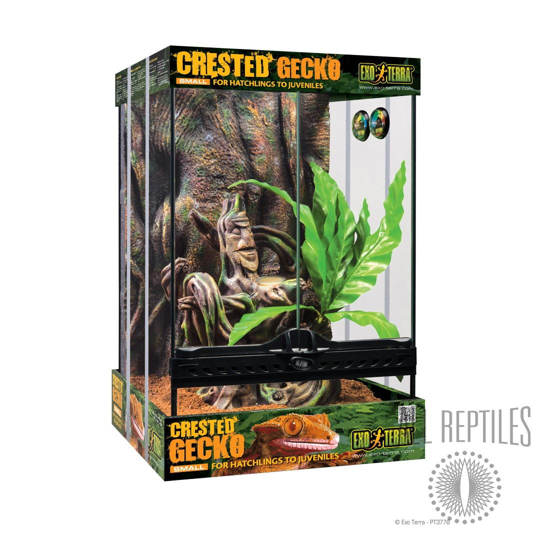 Exo Terra Crested Gecko Habitat Kit