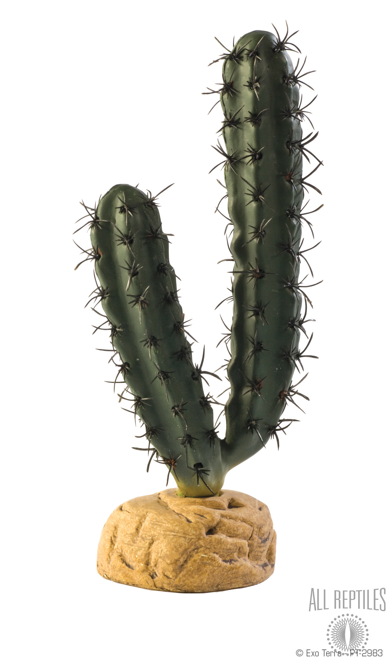 Exo Terra Finger Cactus