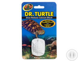 ZM Dr. Turtle