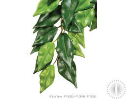 Exo Terra Silk Hanging Plant Ficus